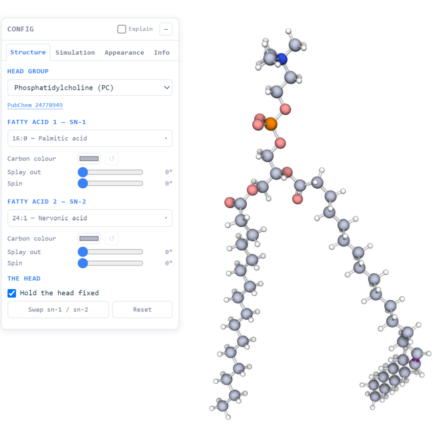 Phospholipid Lab — build a lipid
