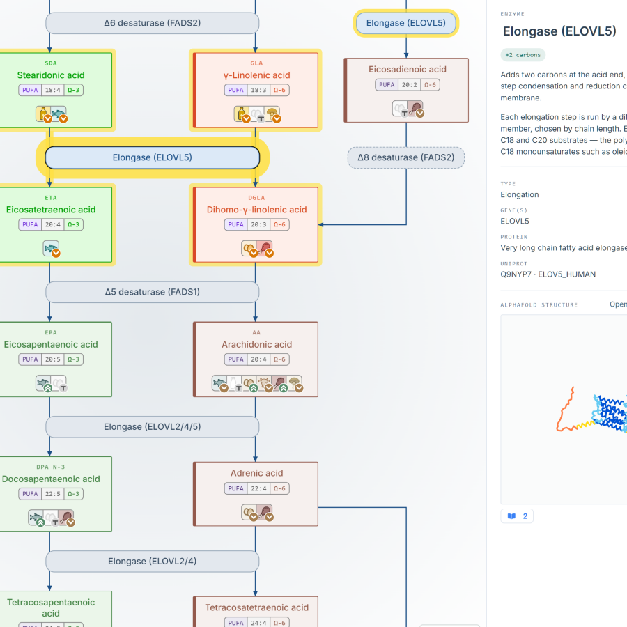 Interactive biosynthesis pathways